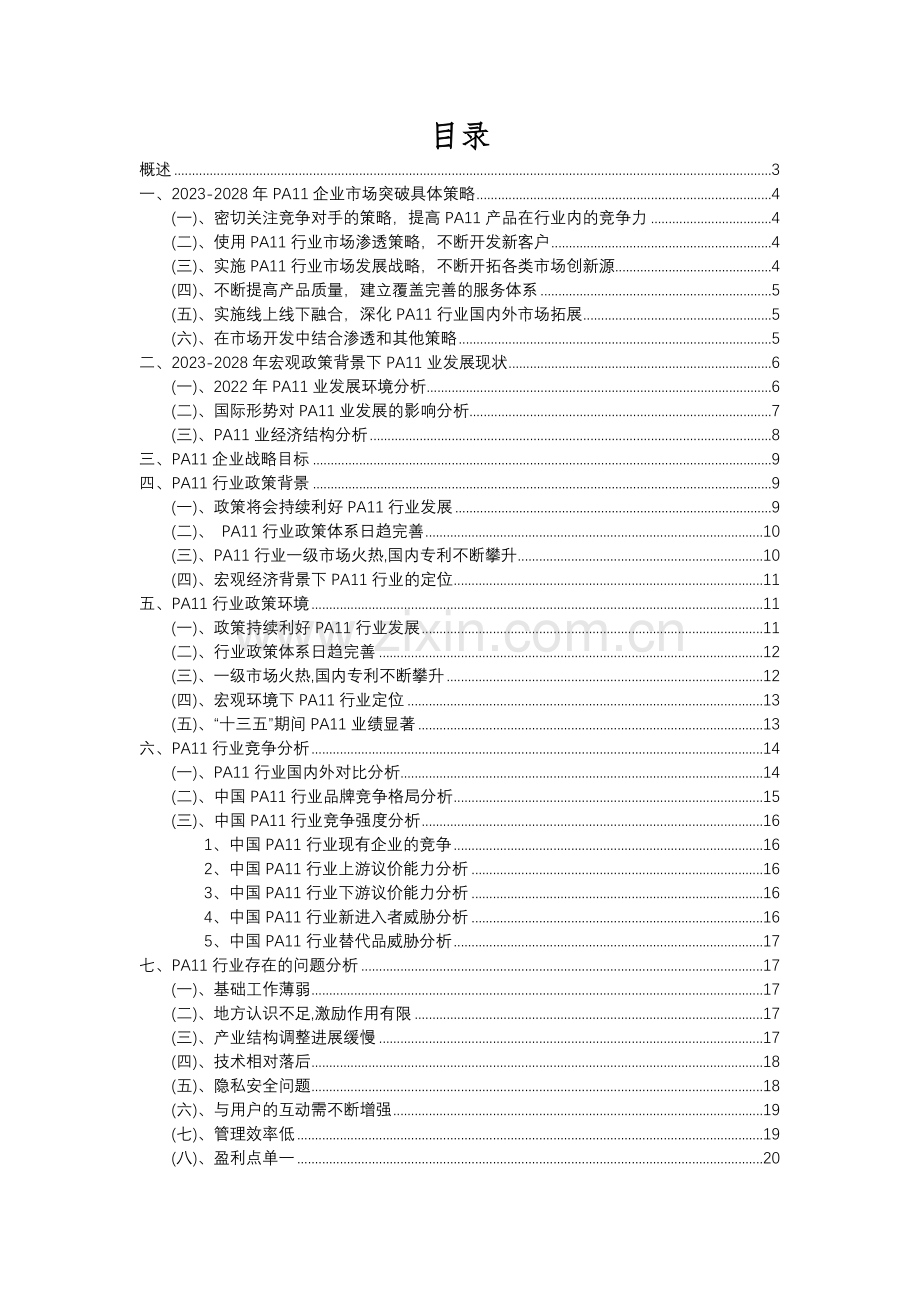 2023年PA11行业洞察报告及未来五至十年预测分析报告.docx_第2页