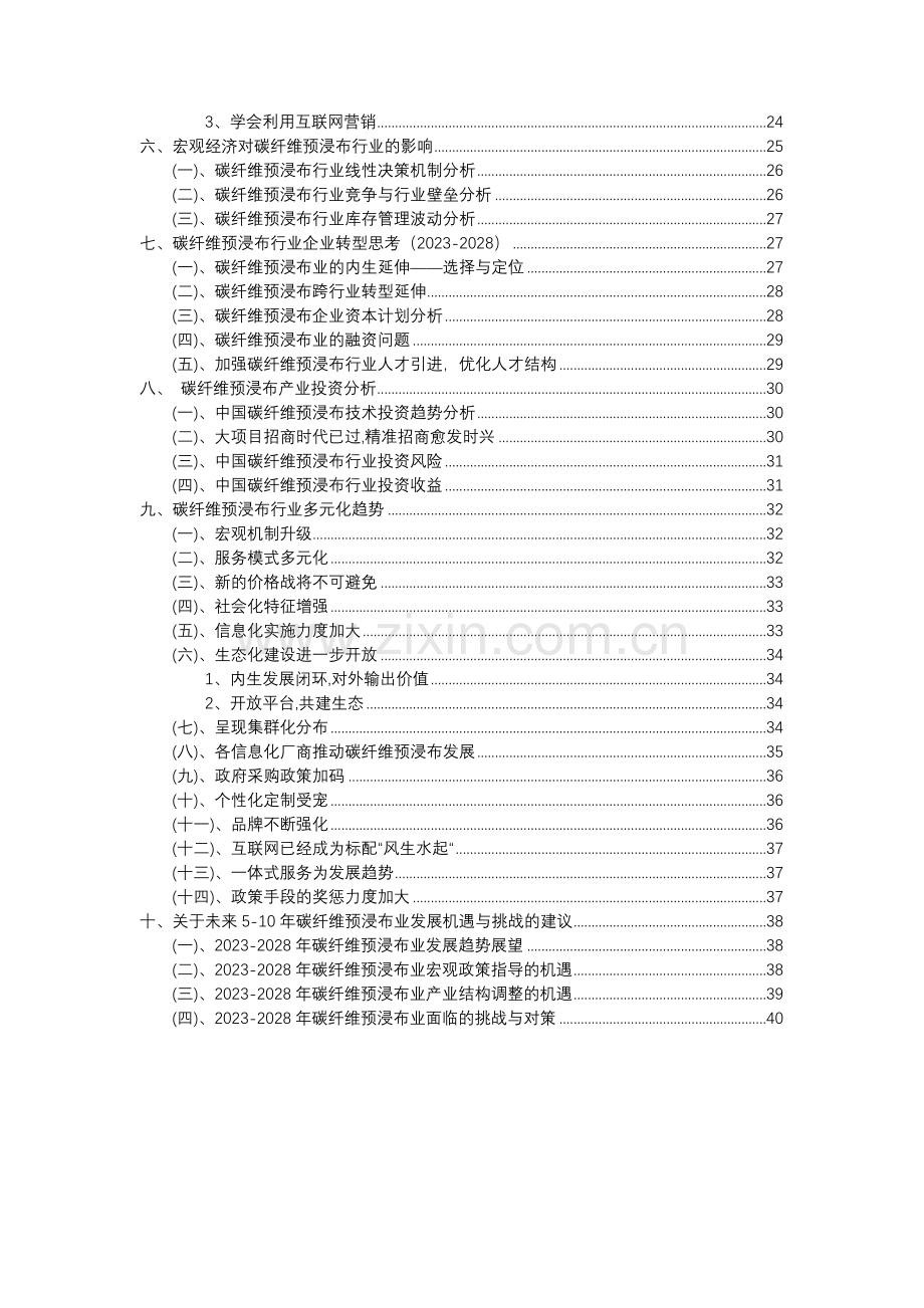 2023年碳纤维预浸布行业分析报告及未来五至十年行业发展报告.doc_第3页