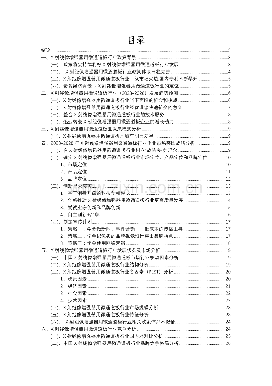 2023年X射线像增强器用微通道板行业洞察报告及未来五至十年预测分析报告.docx_第2页