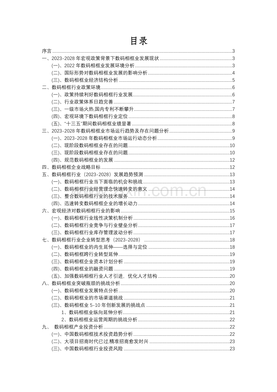 2023年数码相框行业分析报告及未来五至十年行业发展报告.docx_第2页