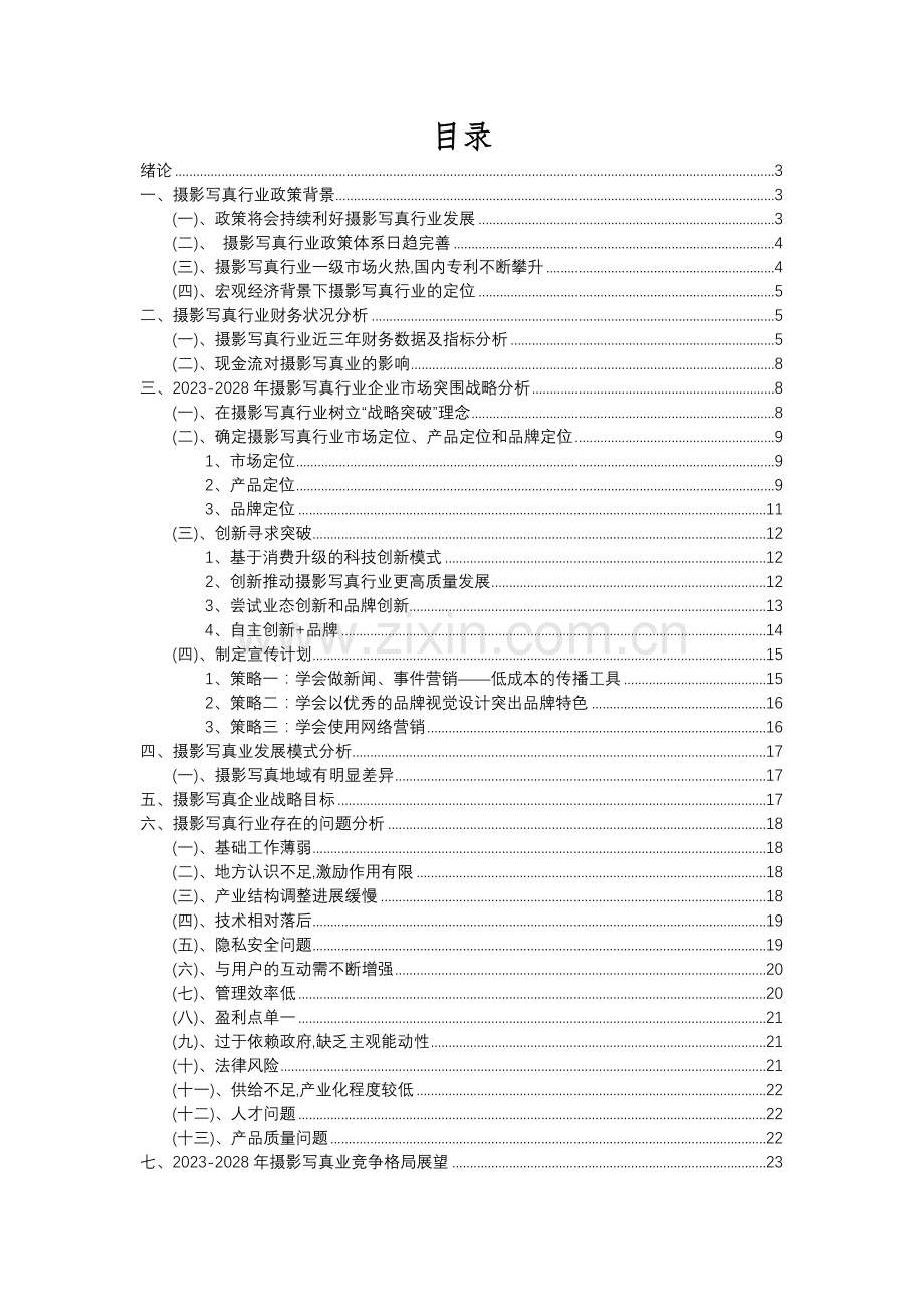 2023年摄影写真行业分析报告及未来五至十年行业发展报告.docx_第2页