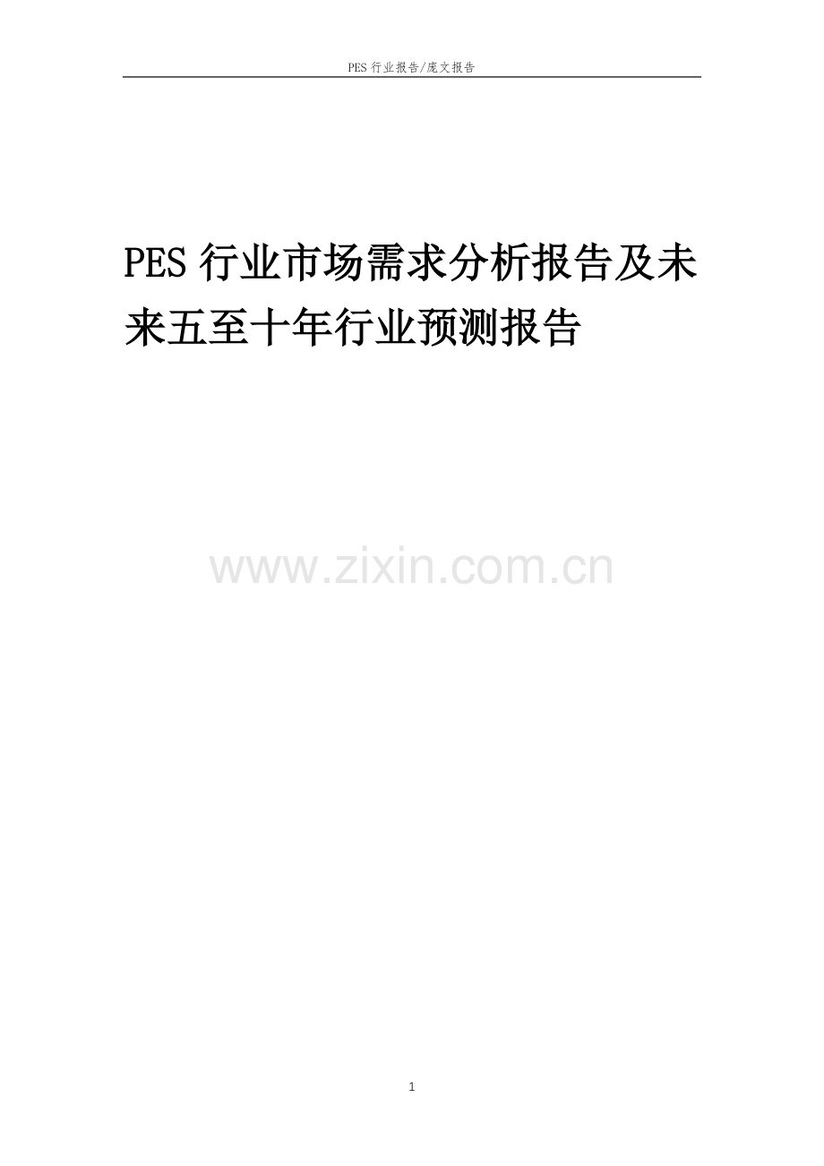 2023年PES行业市场需求分析报告及未来五至十年行业预测报告.docx_第1页