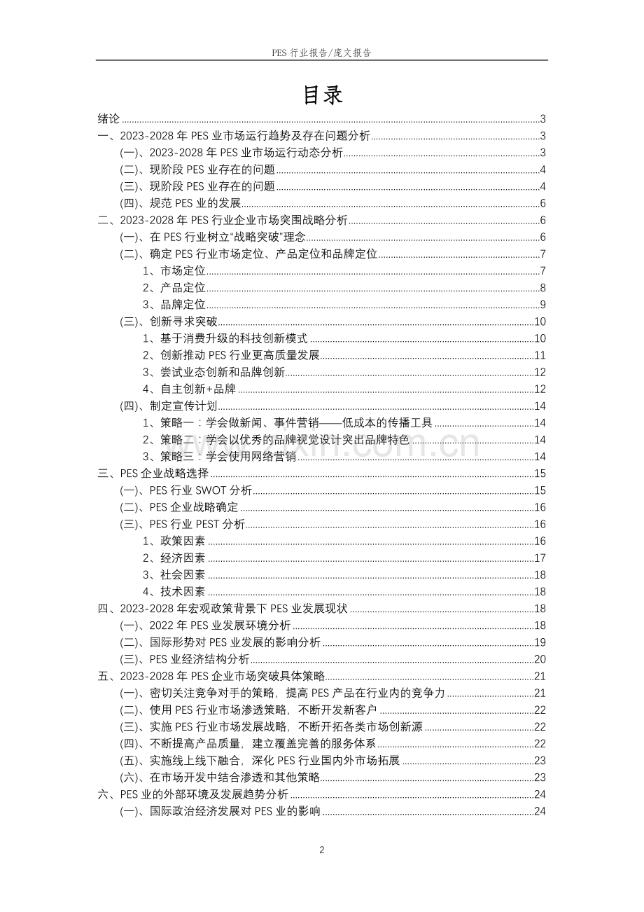 2023年PES行业市场需求分析报告及未来五至十年行业预测报告.docx_第2页