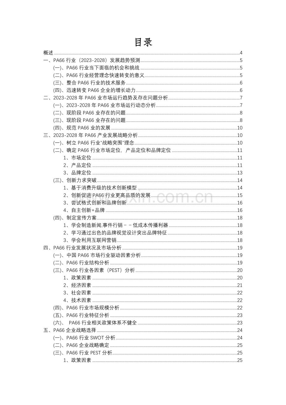 2023年PA66行业市场突围建议及需求分析报告.docx_第2页