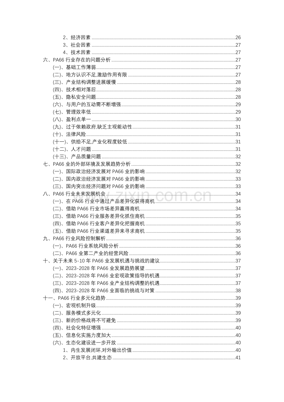 2023年PA66行业市场突围建议及需求分析报告.docx_第3页