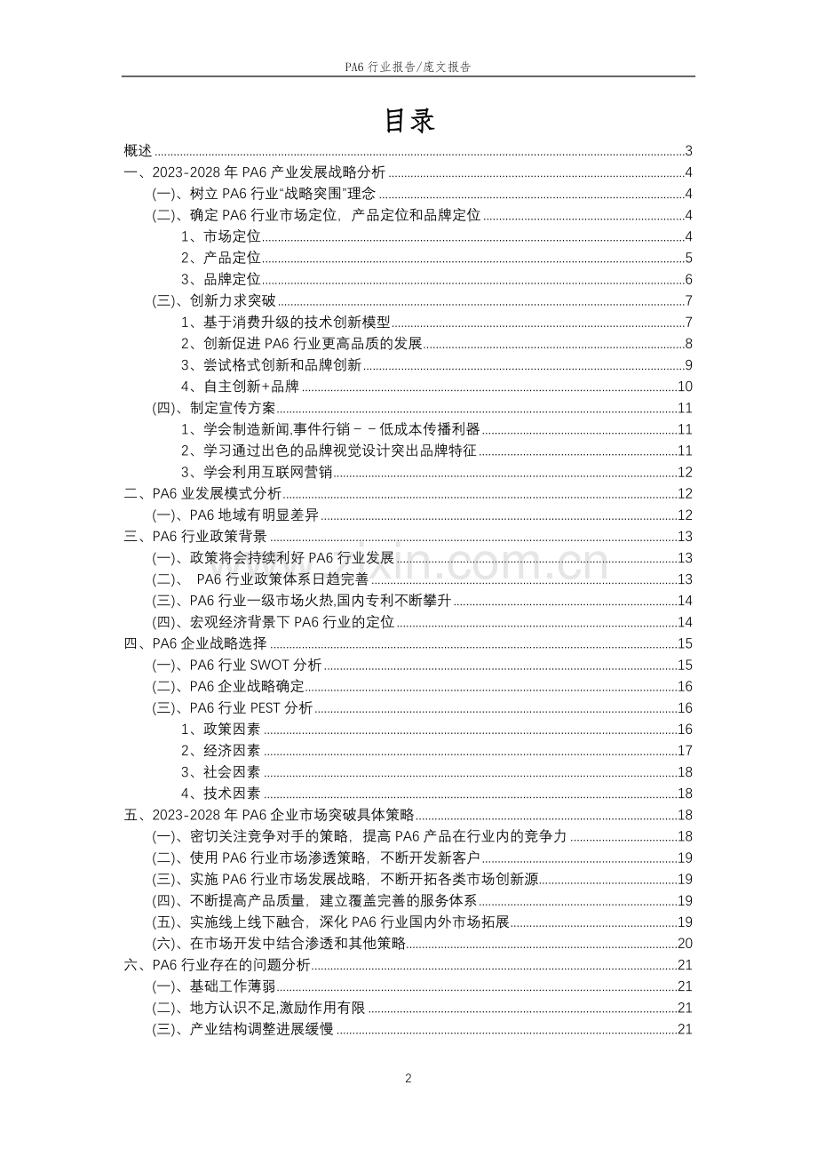 2023年PA6行业市场突围建议及需求分析报告.docx_第2页