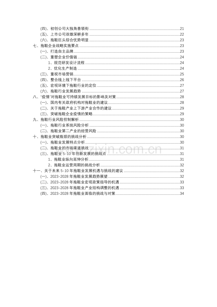 2023年拖鞋行业分析报告及未来五至十年行业发展报告.docx_第3页