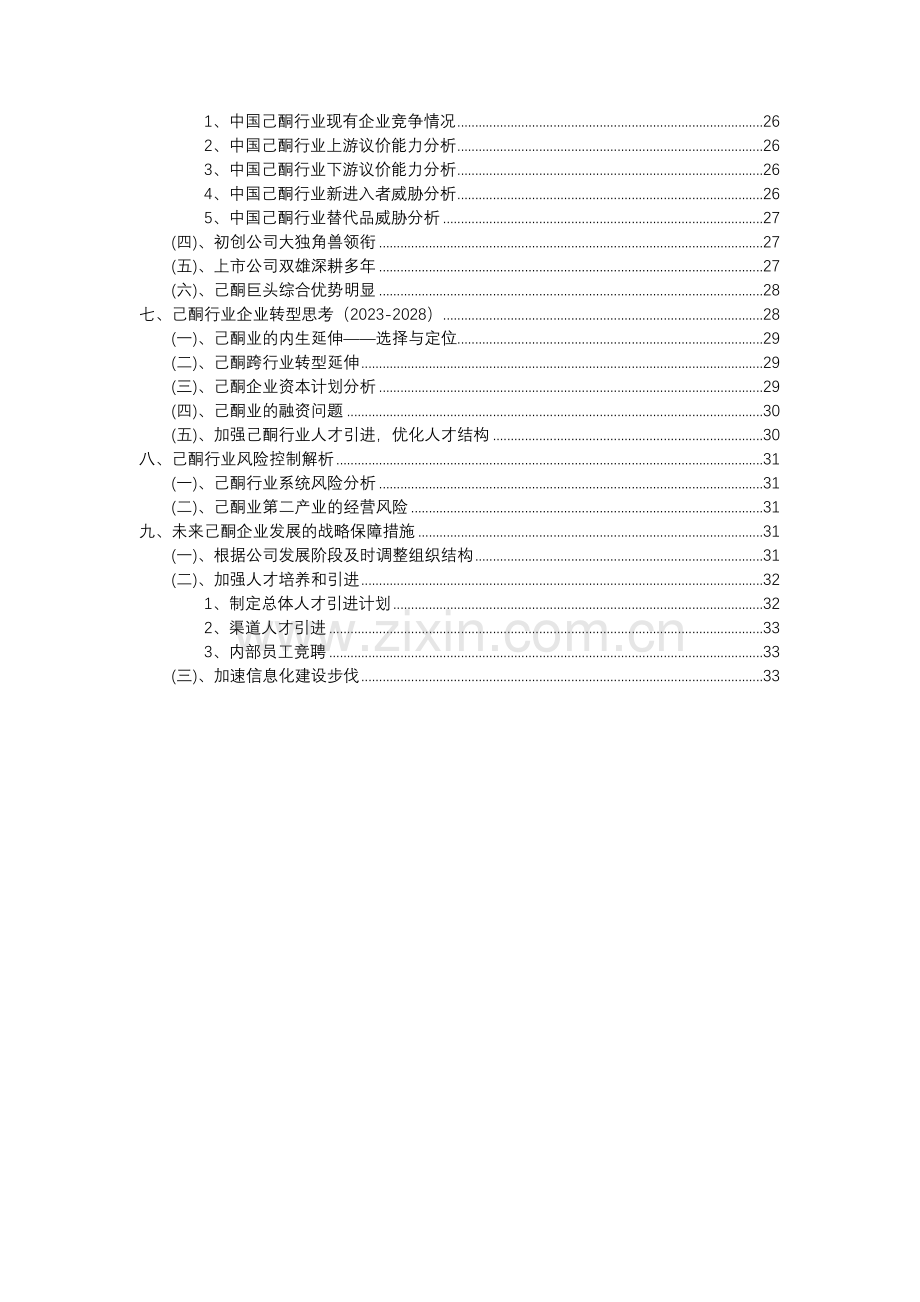 2023年己酮行业分析报告及未来五至十年行业发展报告.docx_第3页