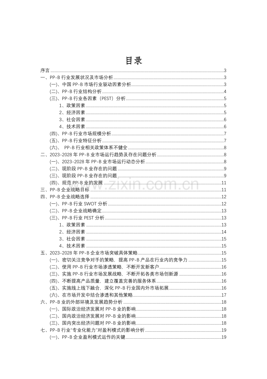 2023年PP-B行业市场突围建议及需求分析报告.doc_第2页