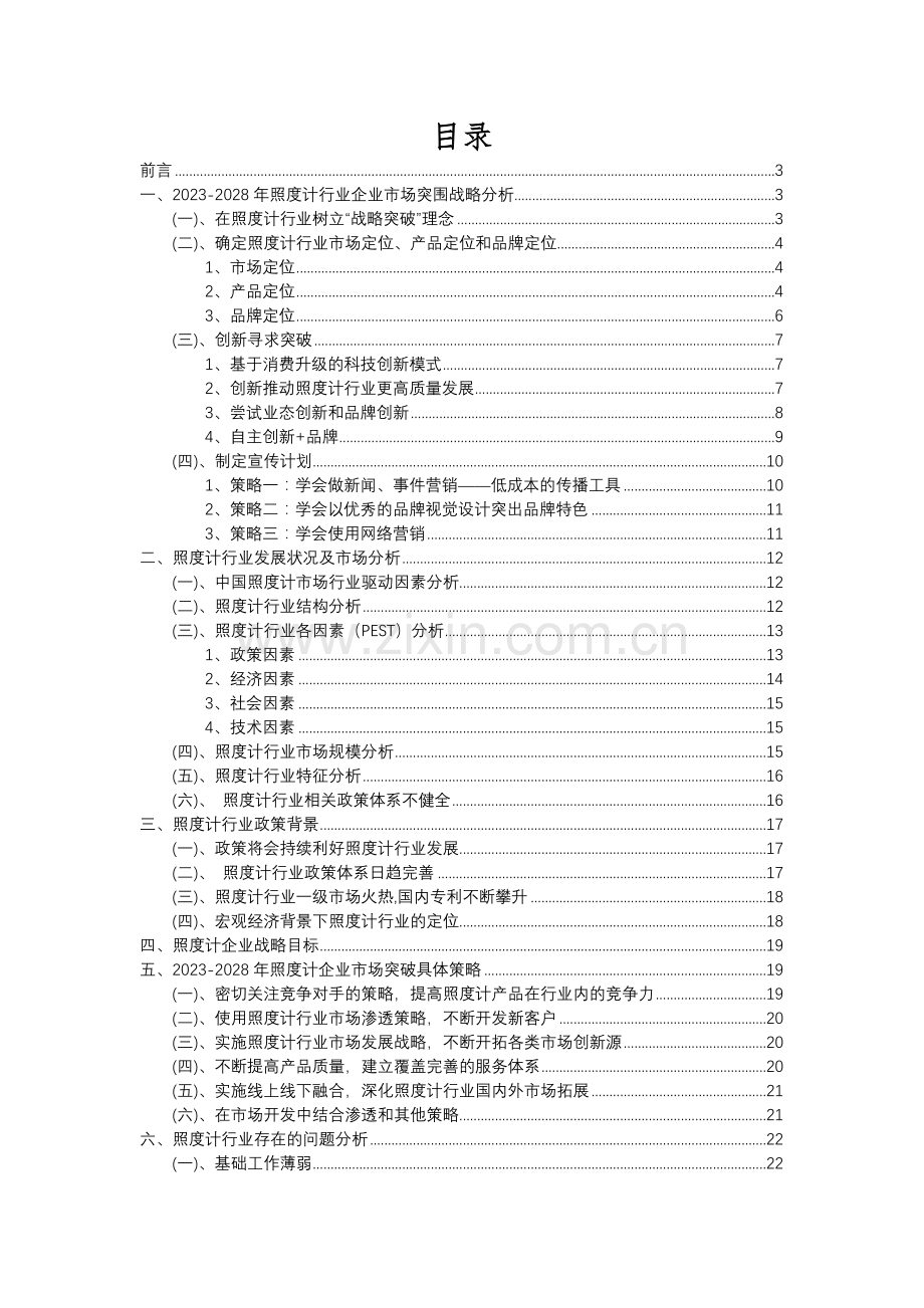 2023年照度计行业分析报告及未来五至十年行业发展报告.docx_第2页