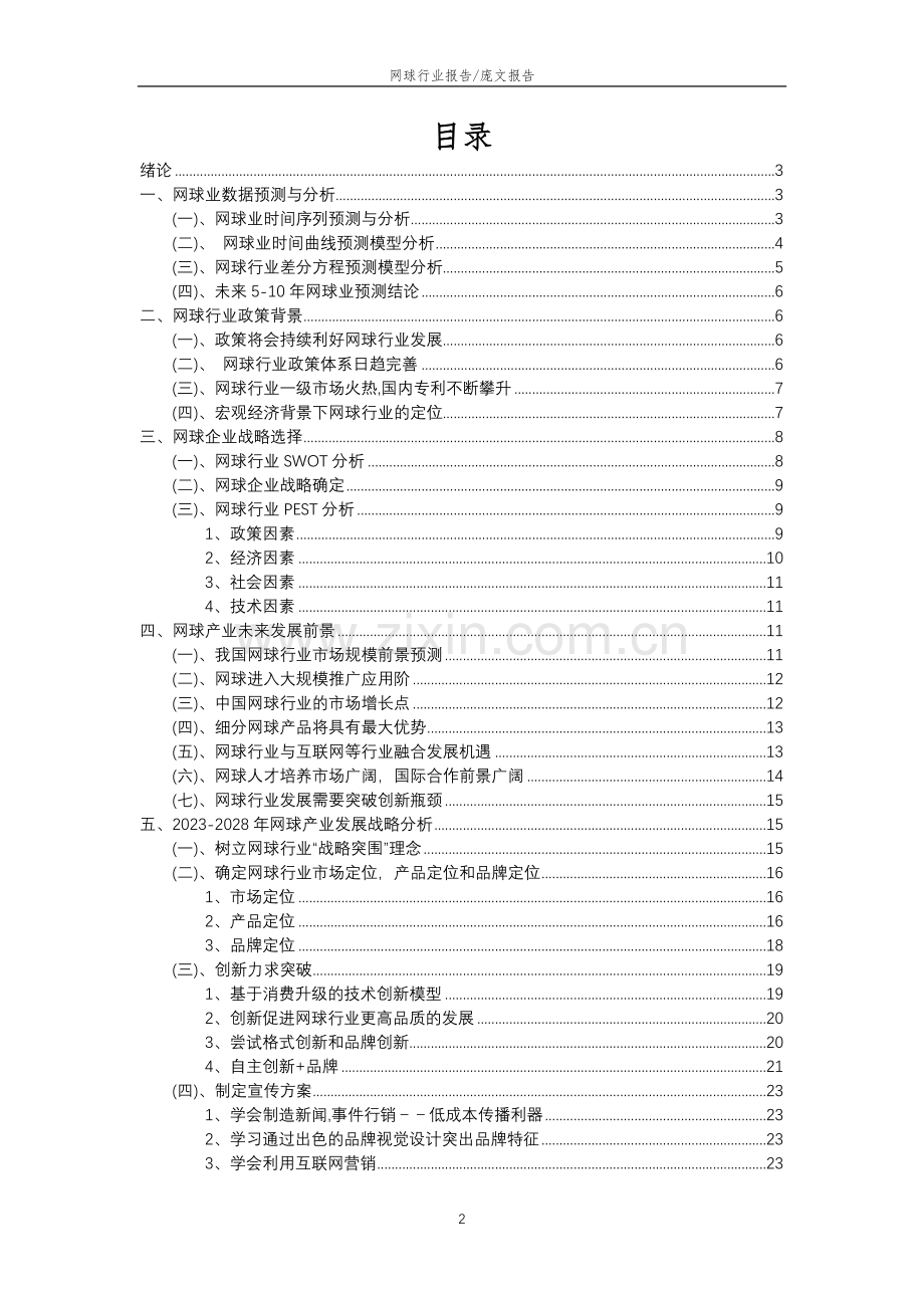 2023年网球行业分析报告及未来五至十年行业发展报告.docx_第2页