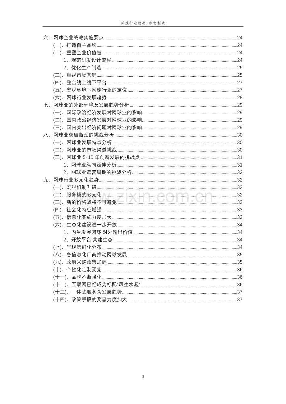 2023年网球行业分析报告及未来五至十年行业发展报告.docx_第3页