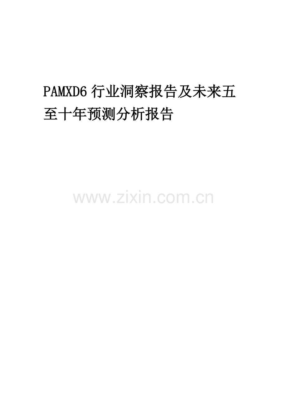 2023年PAMXD6行业洞察报告及未来五至十年预测分析报告.docx_第1页