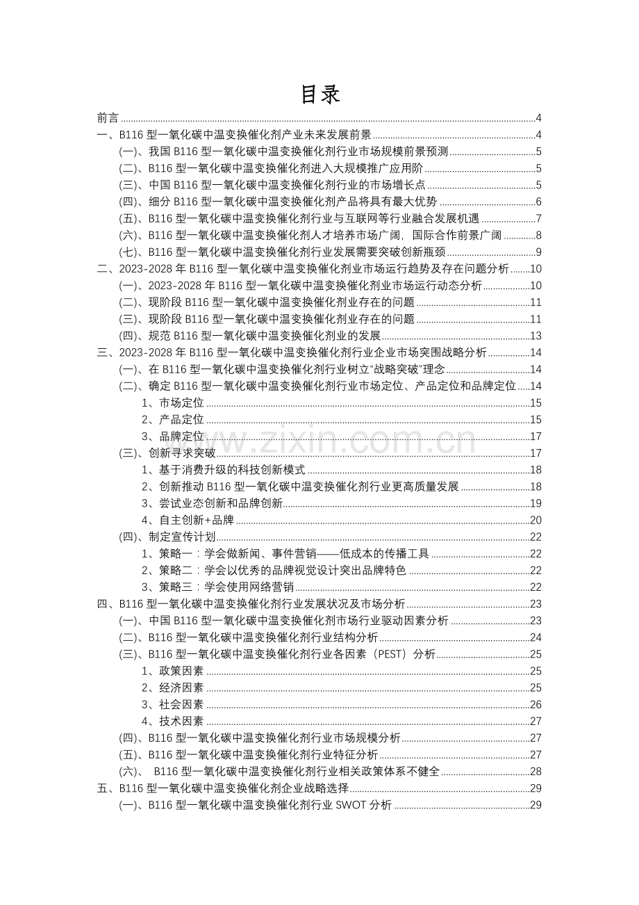 2023年B116型一氧化碳中温变换催化剂行业市场突围建议及需求分析报告.docx_第2页