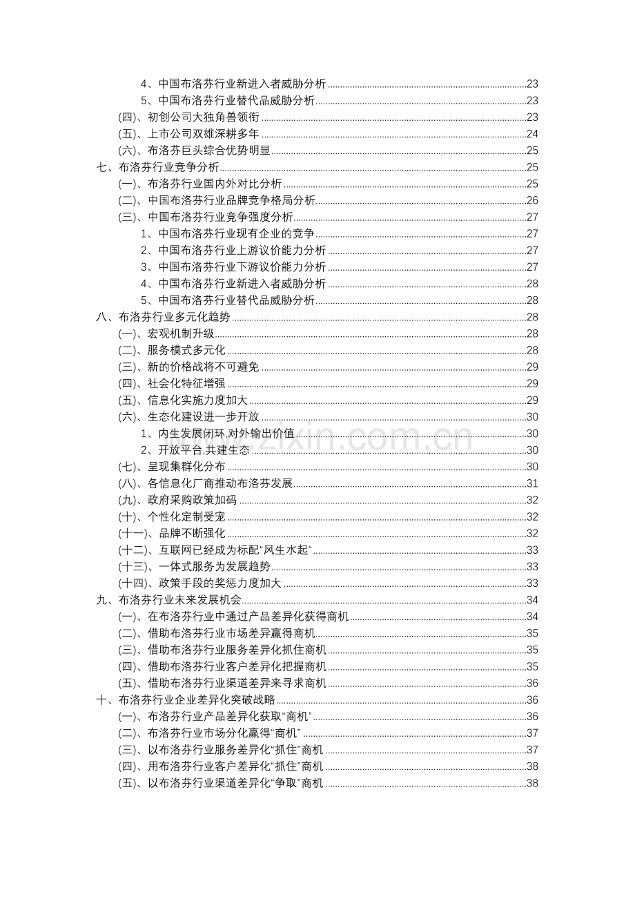 2023年布洛芬行业分析报告及未来五至十年行业发展报告.doc_第3页