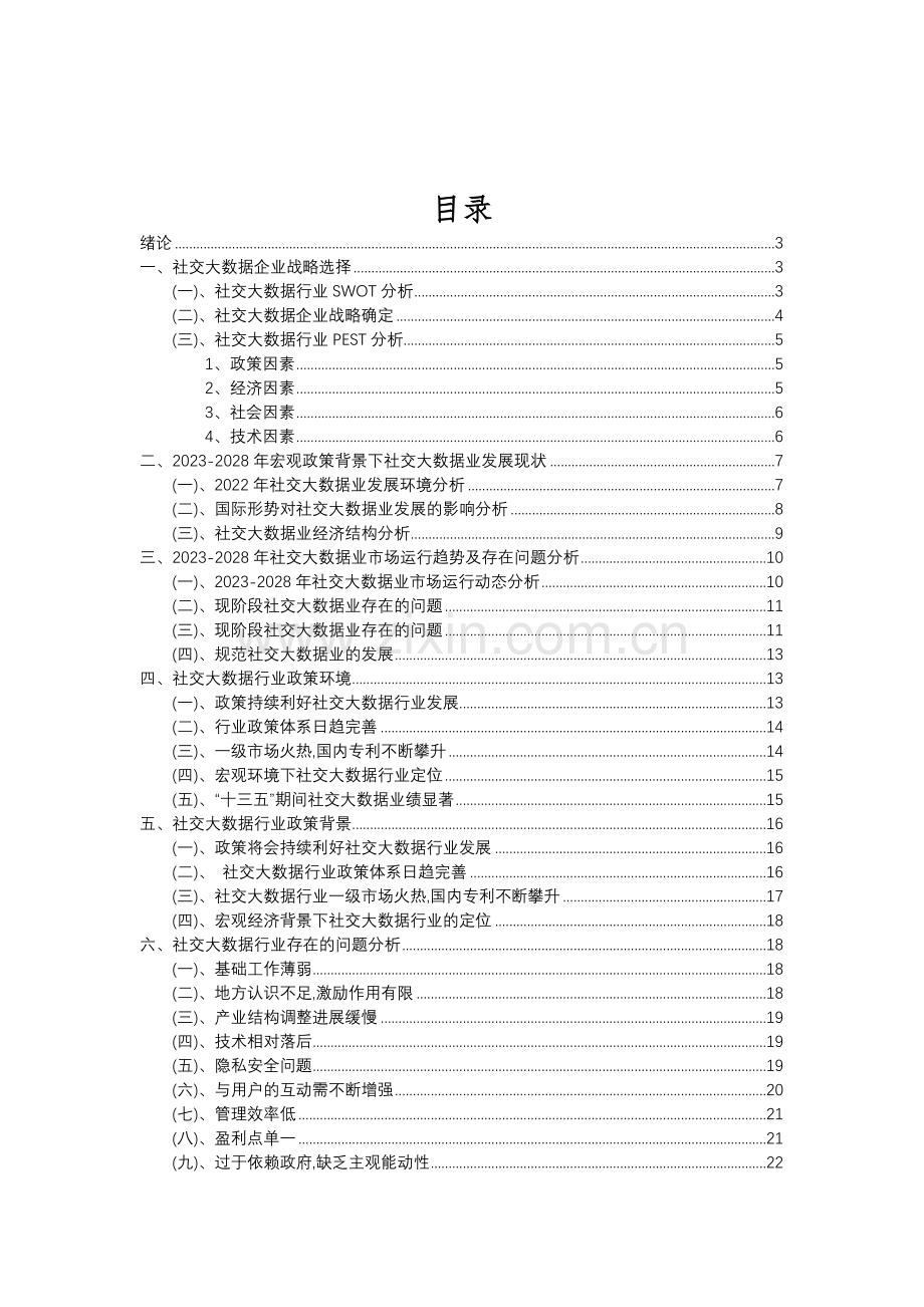 2023年社交大数据行业分析报告及未来五至十年行业发展报告.doc_第2页