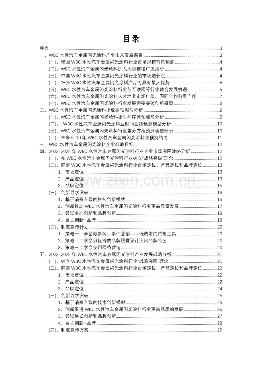 2023年WBC水性汽车金属闪光涂料行业市场突围建议及需求分析报告.docx_第2页