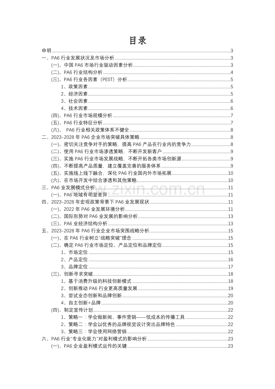 2023年PA6行业洞察报告及未来五至十年预测分析报告.docx_第2页