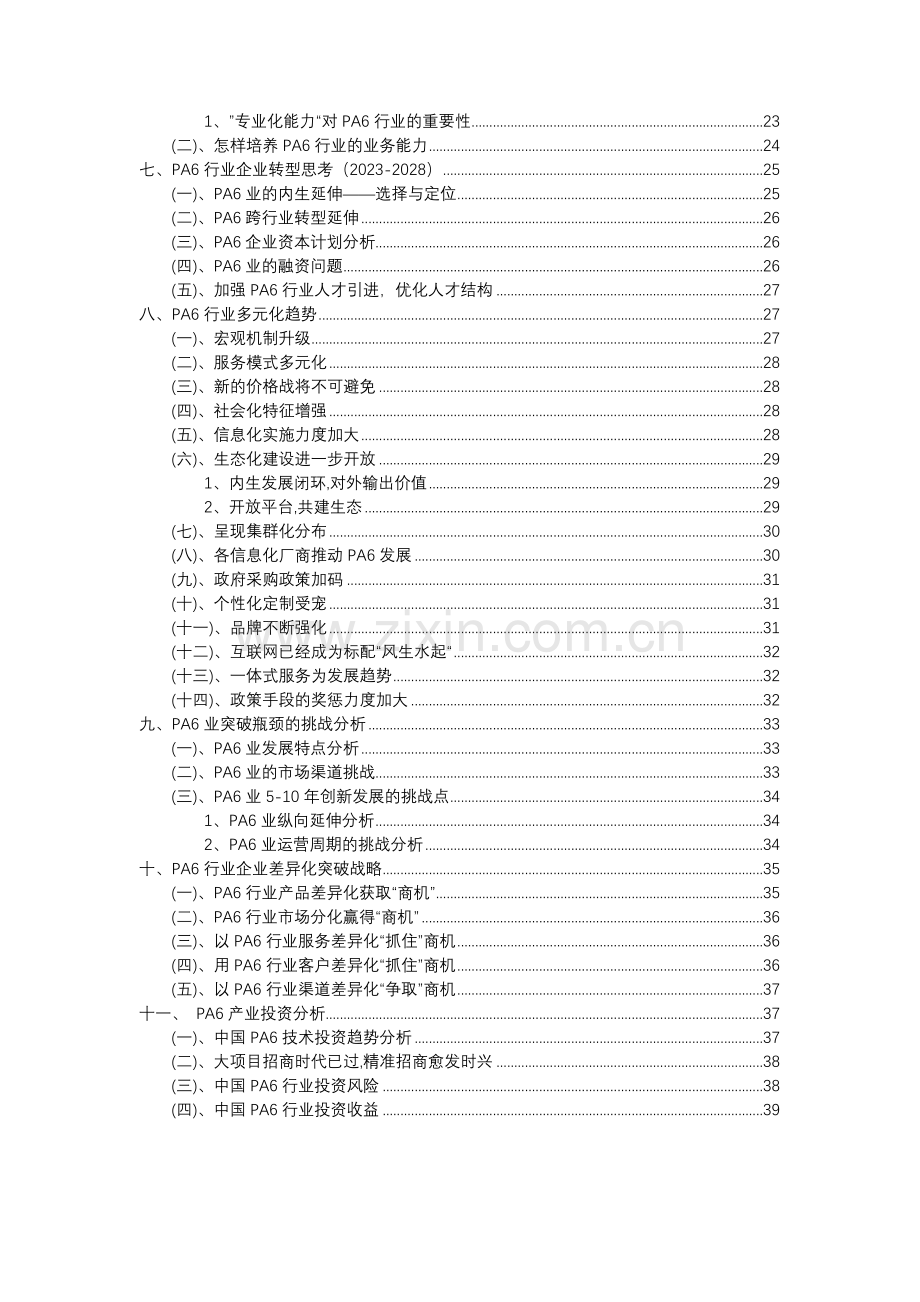 2023年PA6行业洞察报告及未来五至十年预测分析报告.docx_第3页