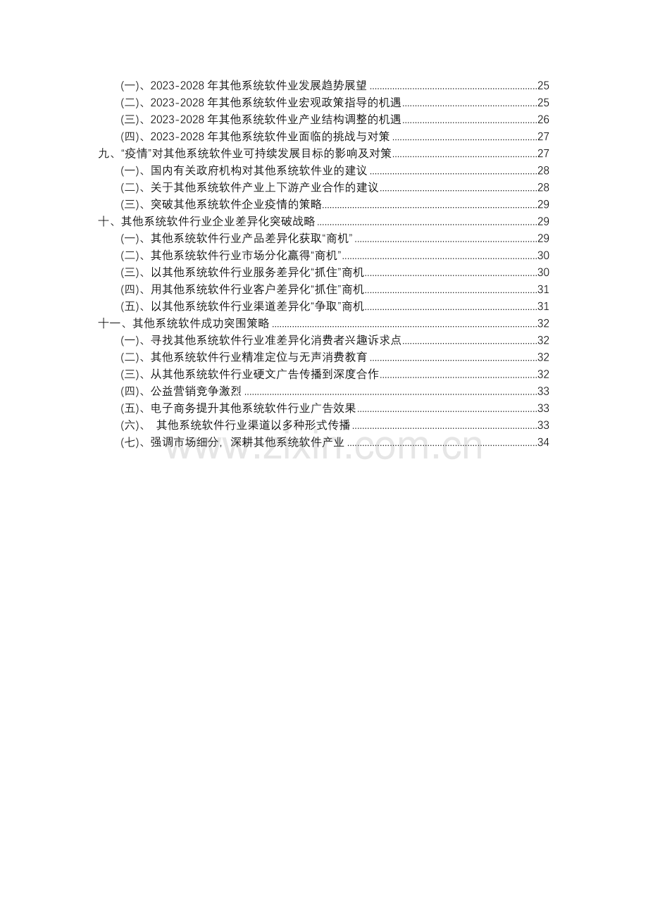 2023年其他系统软件行业分析报告及未来五至十年行业发展报告.docx_第3页