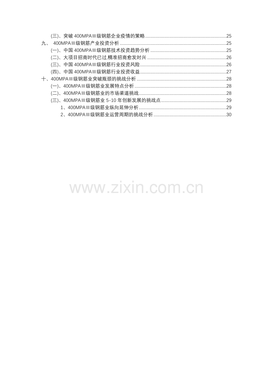 2023年400MPAⅢ级钢筋行业洞察报告及未来五至十年预测分析报告.docx_第3页