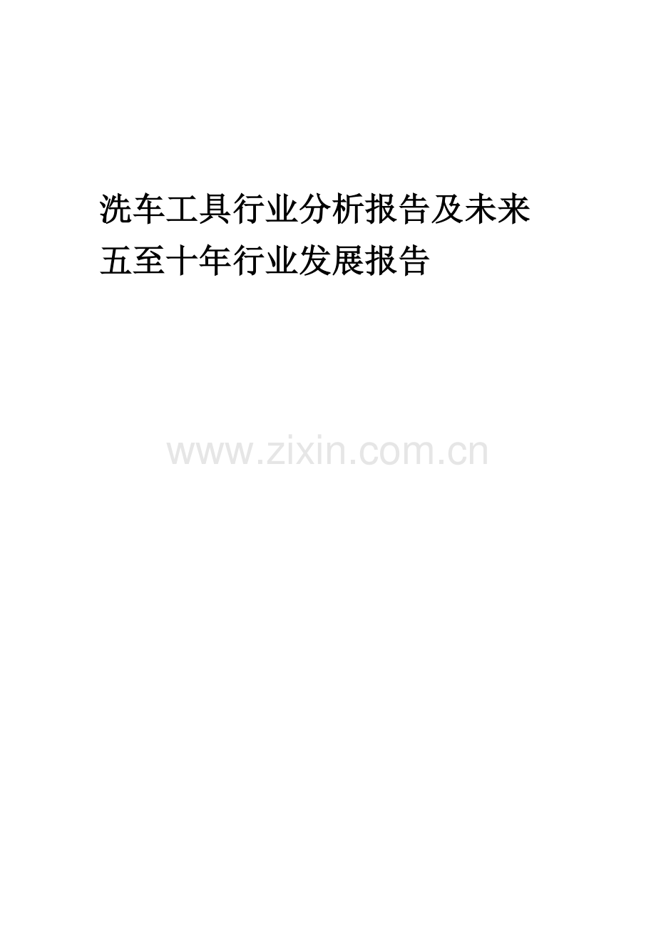 2023年洗车工具行业分析报告及未来五至十年行业发展报告.docx_第1页