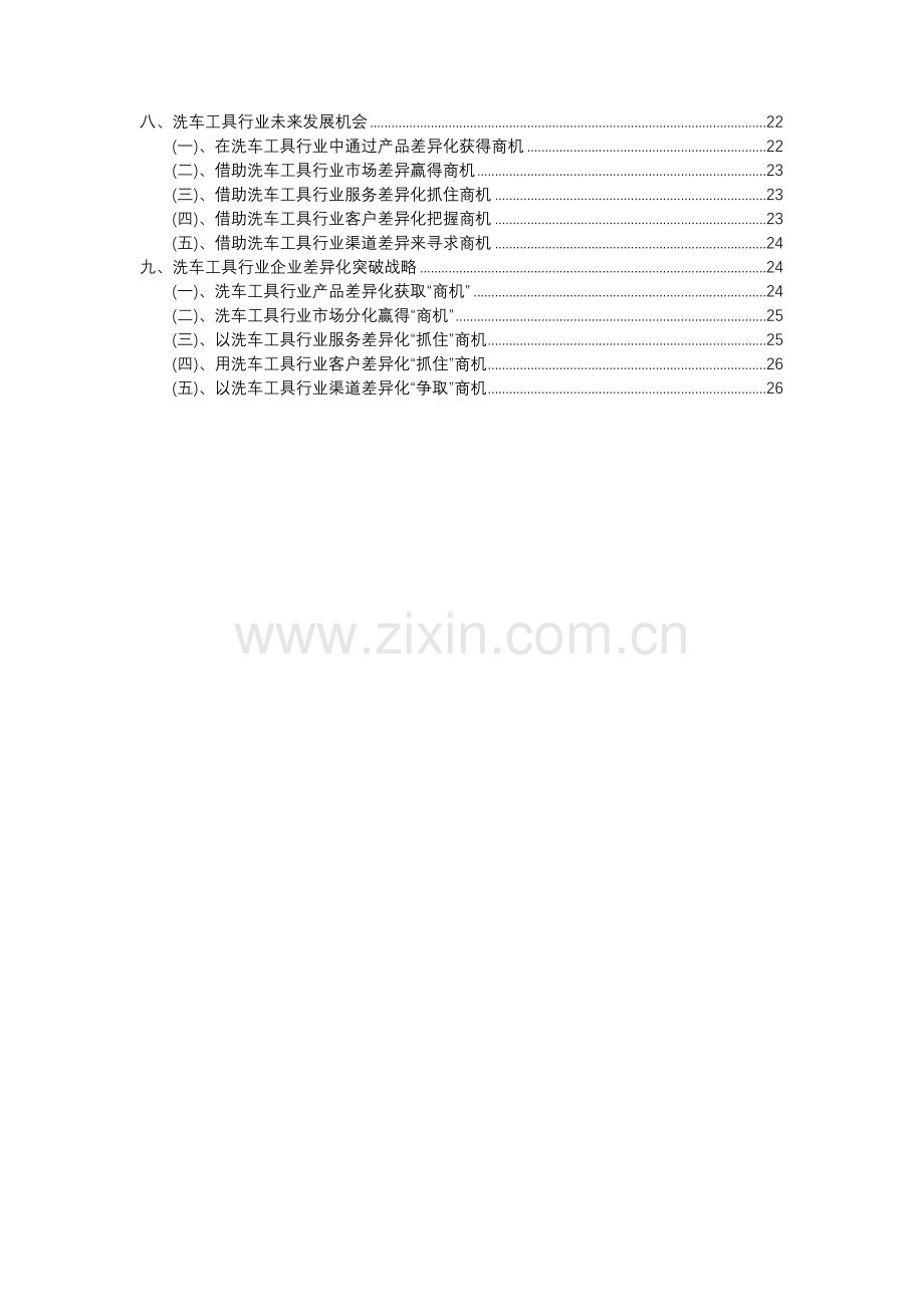 2023年洗车工具行业分析报告及未来五至十年行业发展报告.docx_第3页