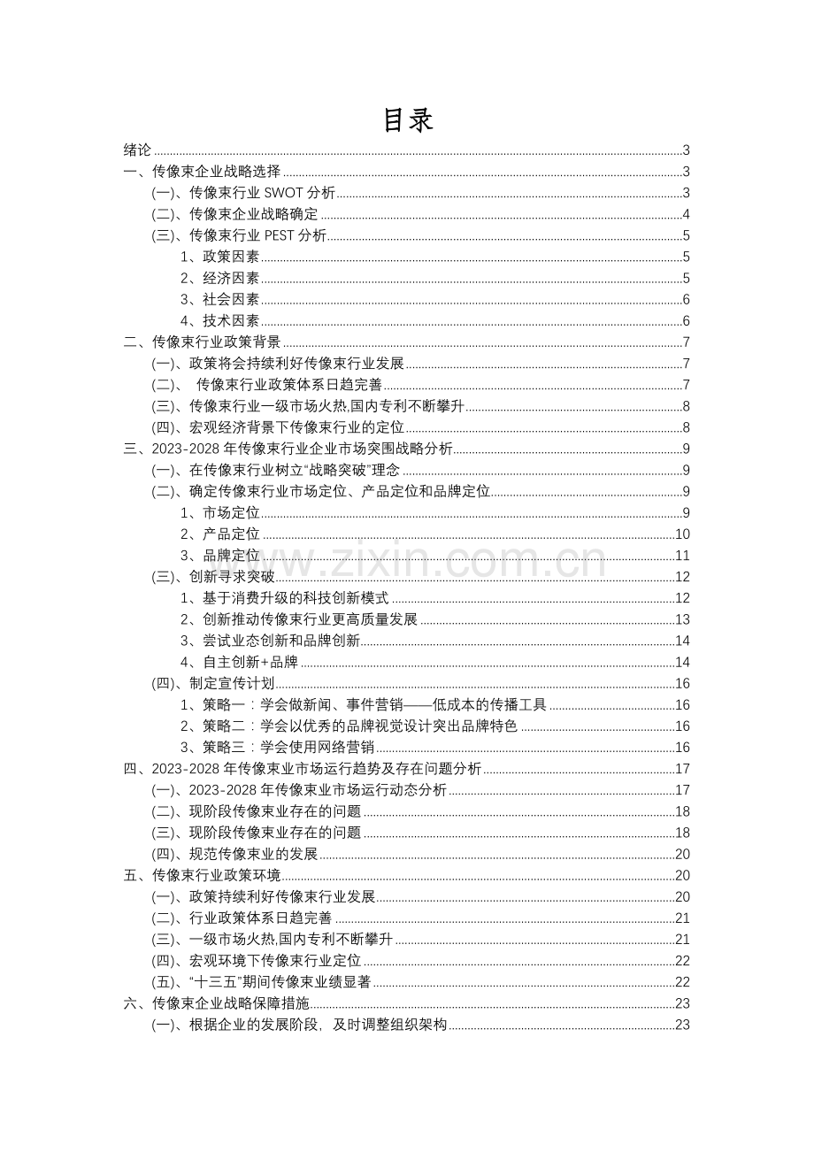 2023年传像束行业分析报告及未来五至十年行业发展报告.docx_第2页