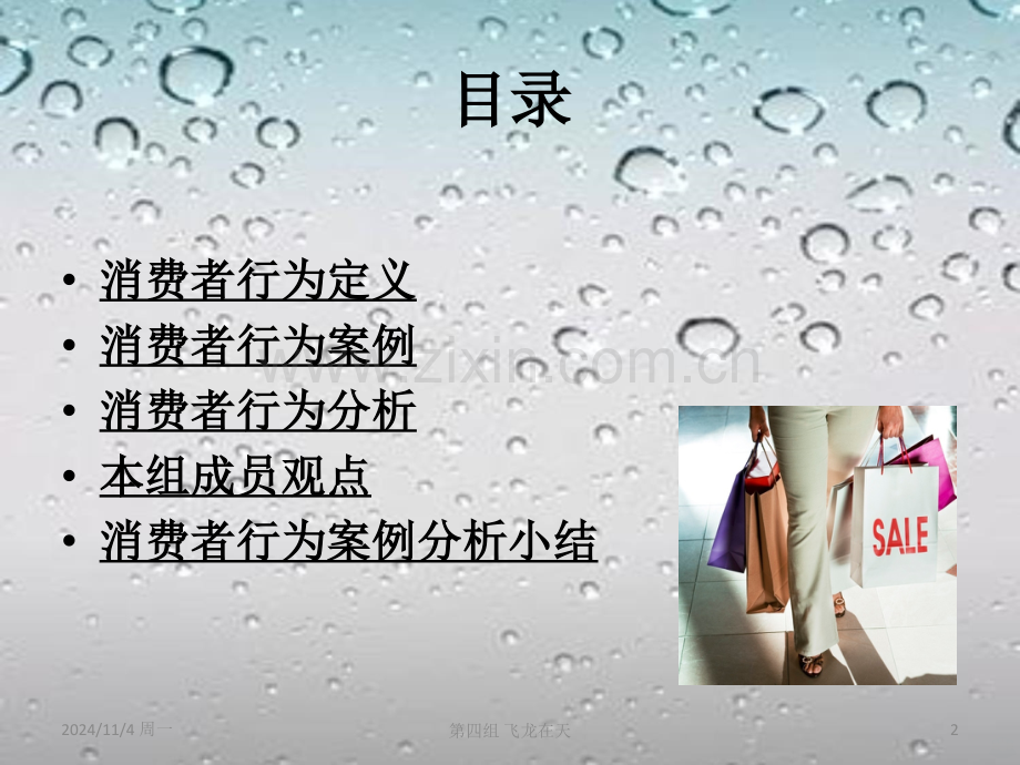 消费者行为案例分析PPT课件.ppt_第2页