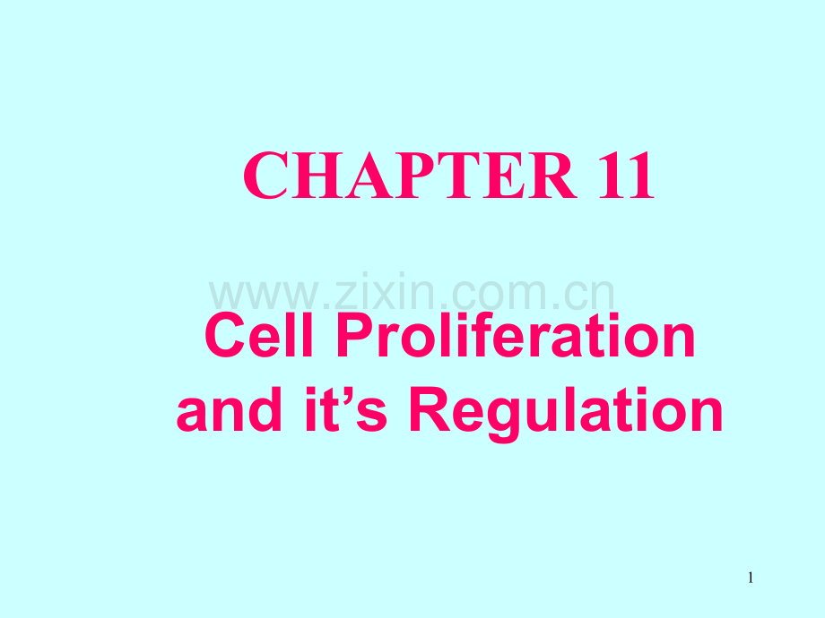 细胞生物学：第11章-1细胞增殖及其调控.pptx_第1页