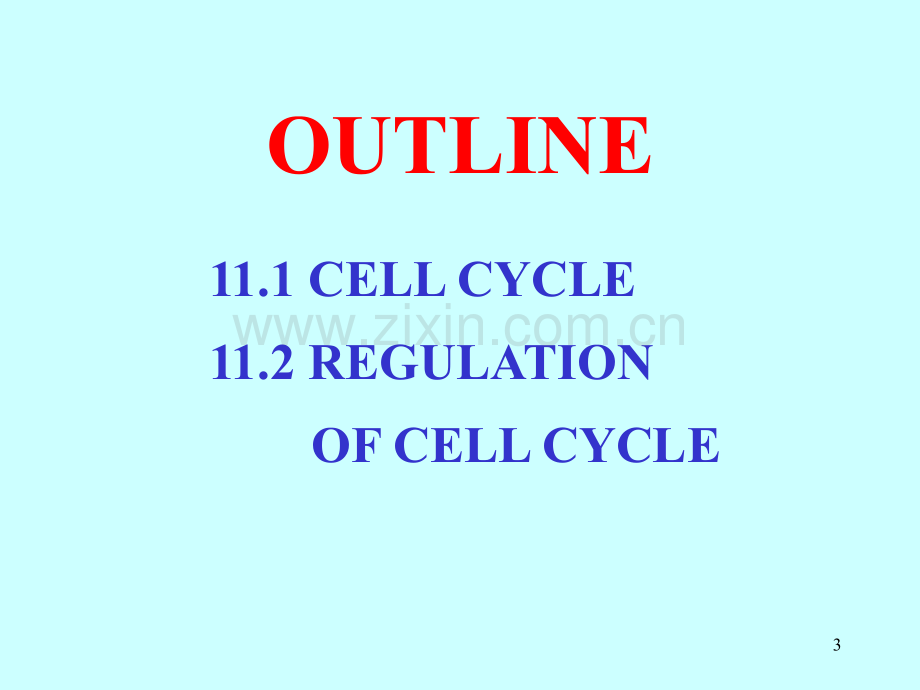 细胞生物学：第11章-1细胞增殖及其调控.pptx_第3页