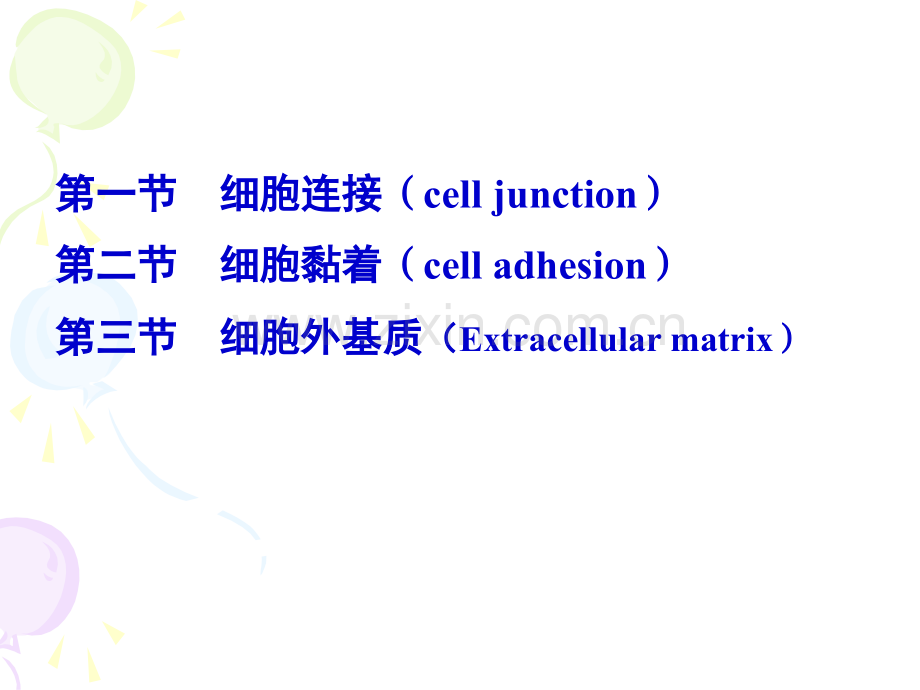 细胞社会的联系细胞连接细胞黏着和细胞外基质.pptx_第2页