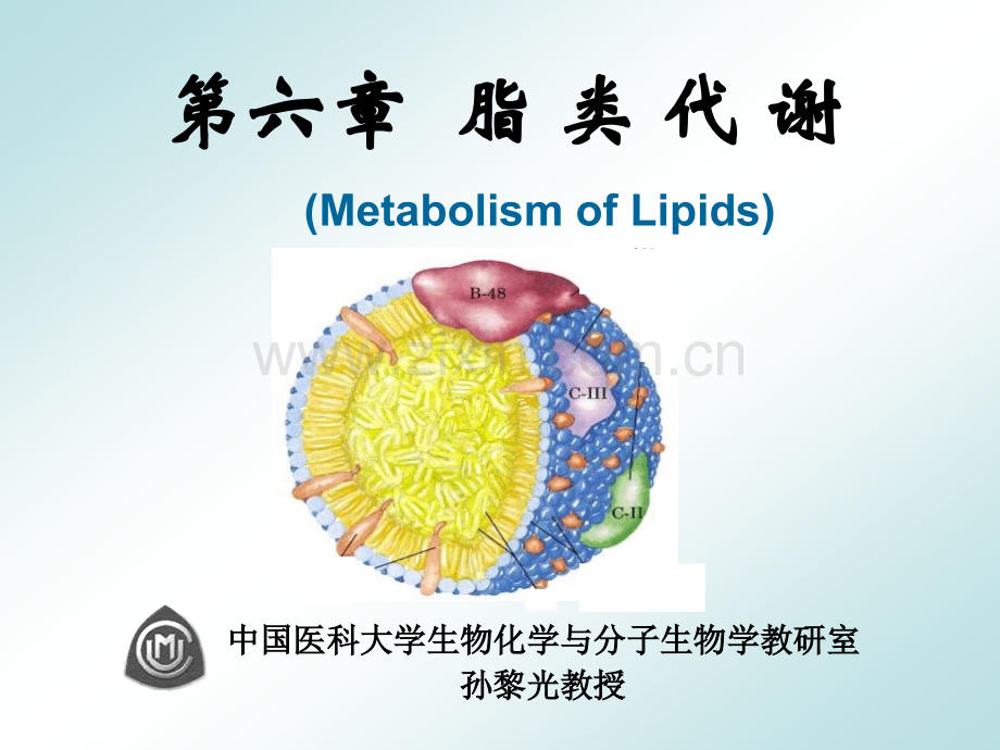 第5章脂类代谢.pptx_第1页