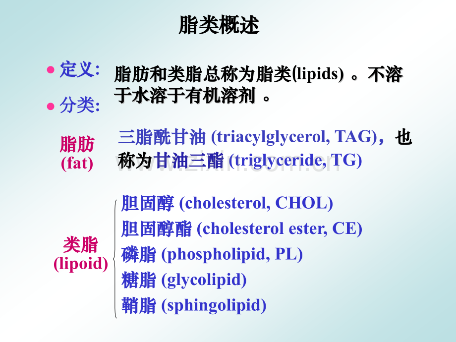 第5章脂类代谢.pptx_第2页