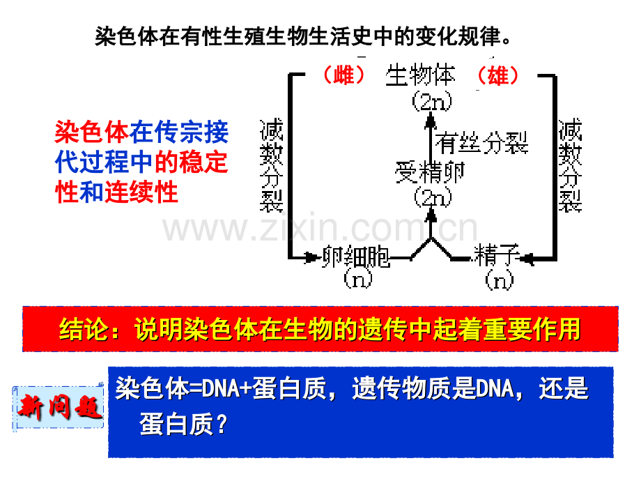 第四讲--DNA是主要的遗传物质.pptx_第1页