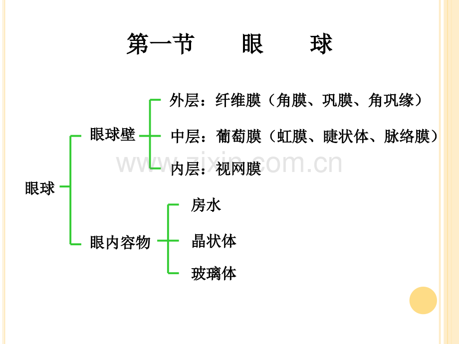 眼的解剖与生理.pptx_第3页