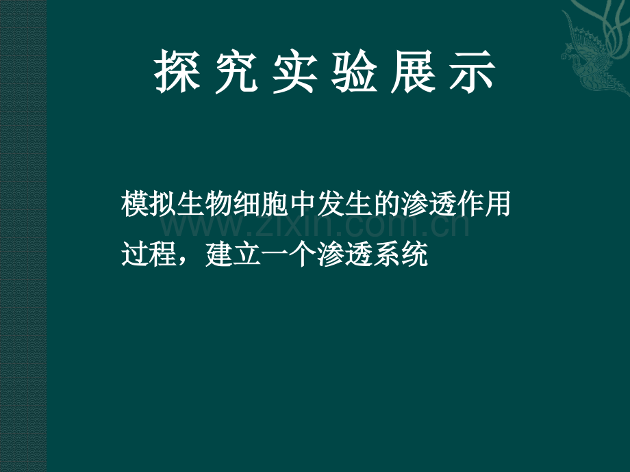 细胞膜的物质运输功能中图版必修.pptx_第3页