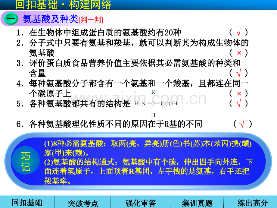 理化生2014高考生物一轮复习走近细胞和组成细胞分子生命活动主要承担者——蛋白质.pptx_第2页