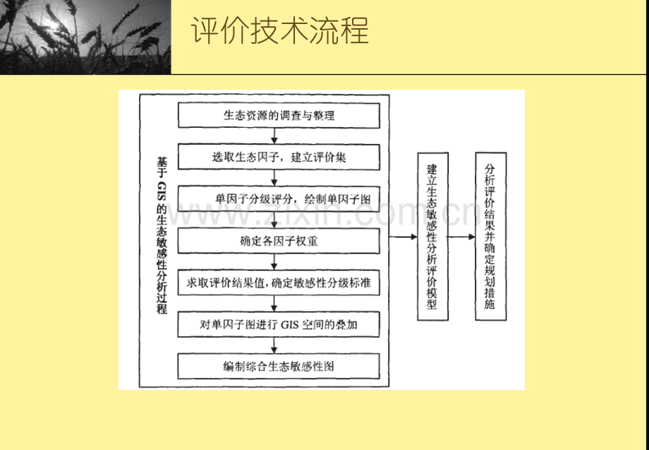 生态敏感性评价方法.pptx_第3页