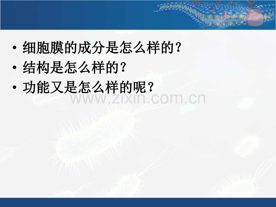 系统的边界细胞膜.pptx_第3页