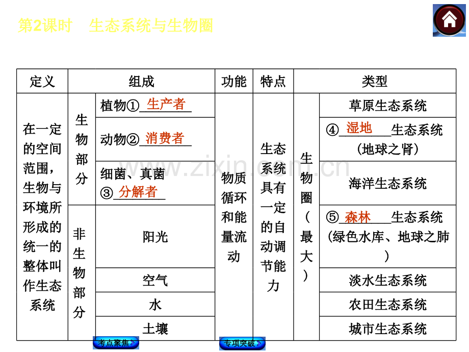 生态系统与生物圈.pptx_第3页