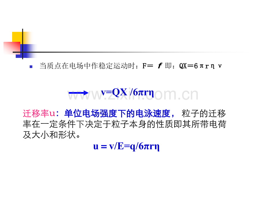 电泳技术方王楷.pptx_第3页