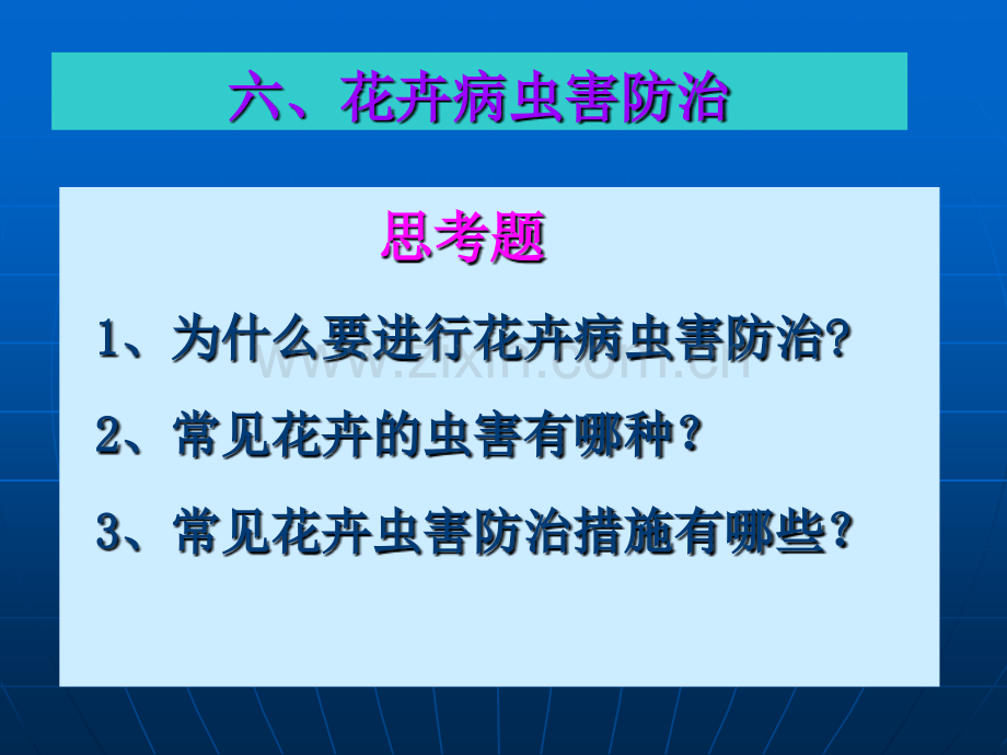 花卉病虫害防治.pptx_第1页