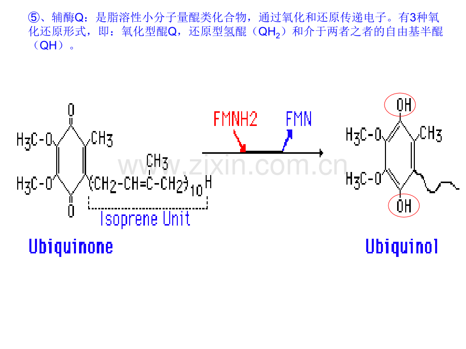 细胞的能量转换2.pptx_第1页