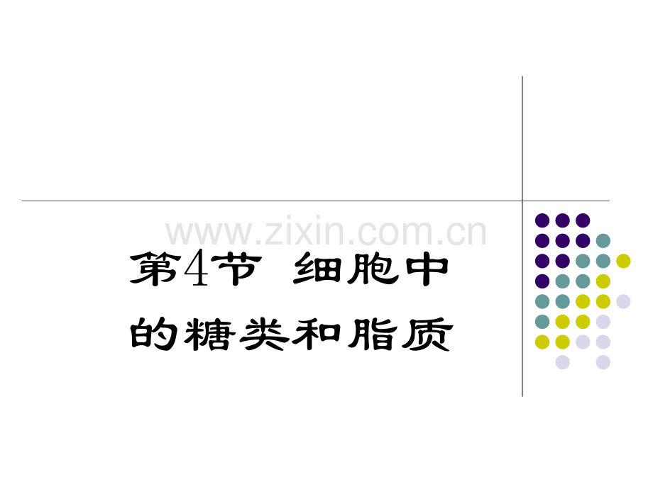 第四节-糖类和脂质.pptx_第1页