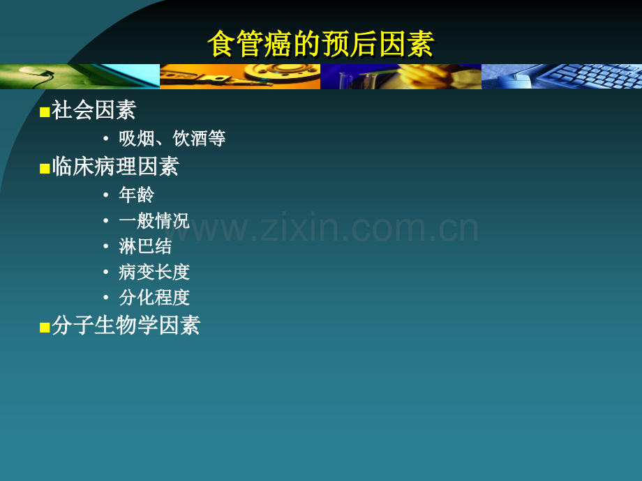 最终心脑血管药理食管癌放疗增敏研究.pptx_第3页