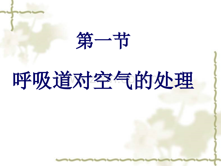 河北省安国市实验中学人教七年级生物下册呼吸道对空气的处理共22张.pptx_第1页