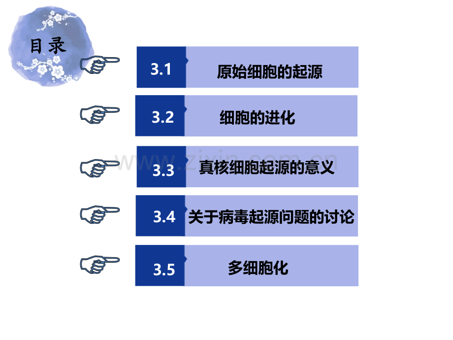 细胞的起源于进化.pptx_第1页