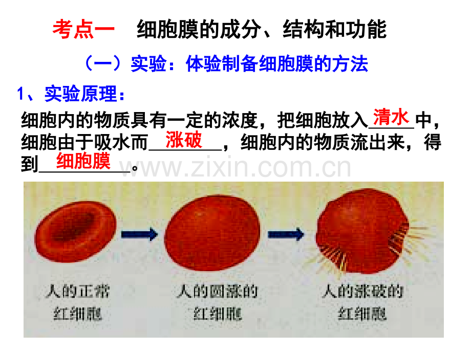 细胞的基本结构高中生物.pptx_第2页