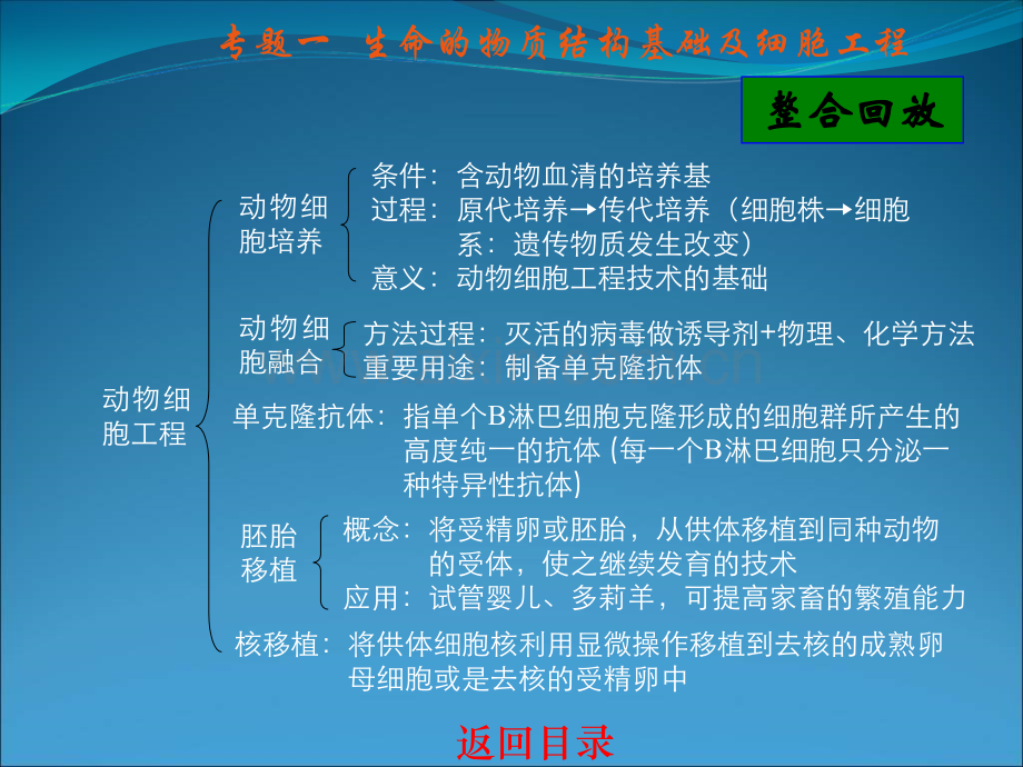 生命的物质结构基础及细胞工程.pptx_第3页